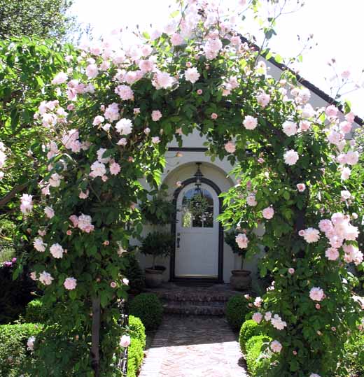 как сделать красивые арки из роз своими руками